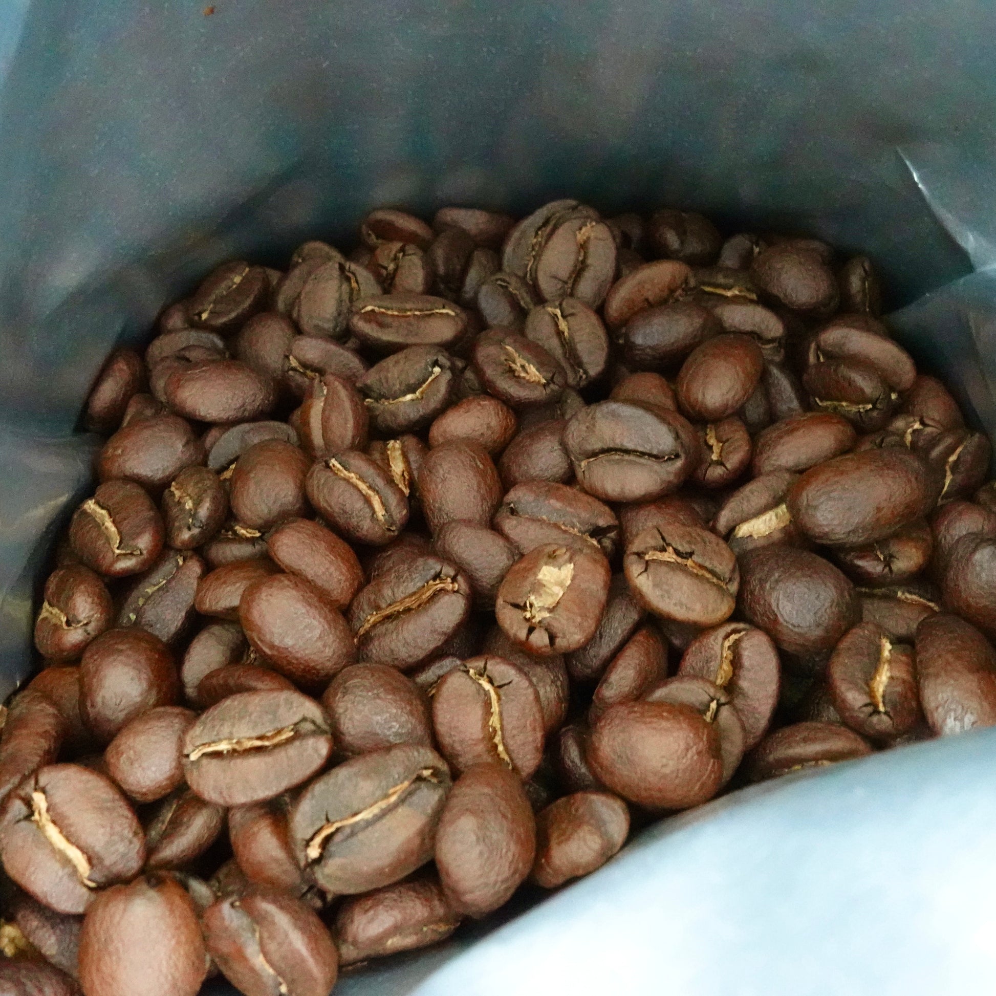 medium dark evenly roasted single-origin coffee beans